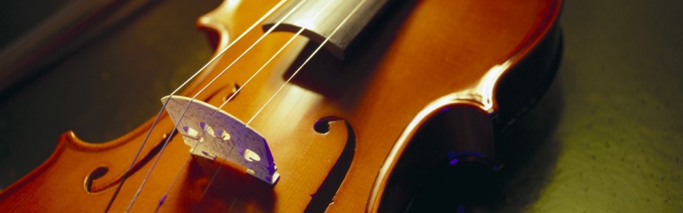 The New World School of Violin Making « Where Old World Traditions ...